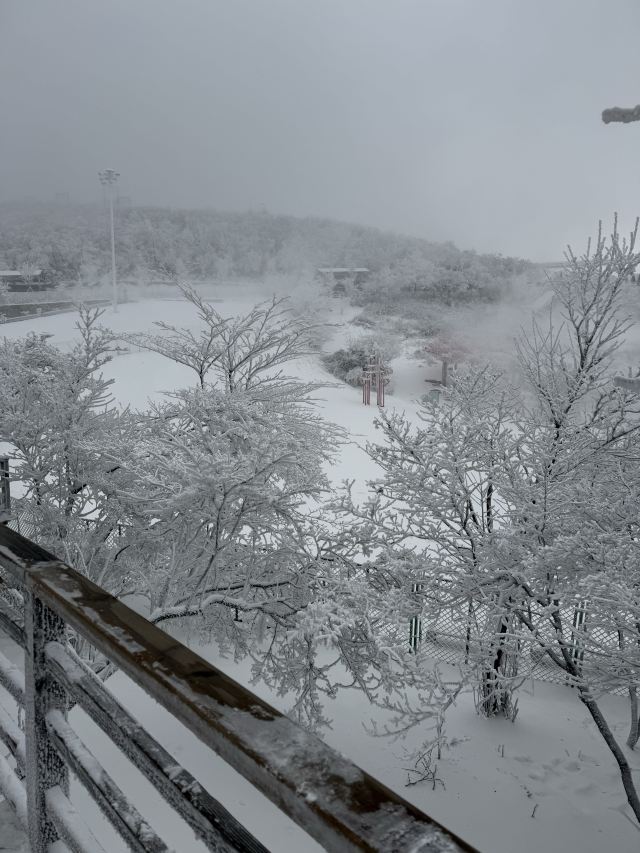 云上草原国际山地旅游度假区旅行图片 9