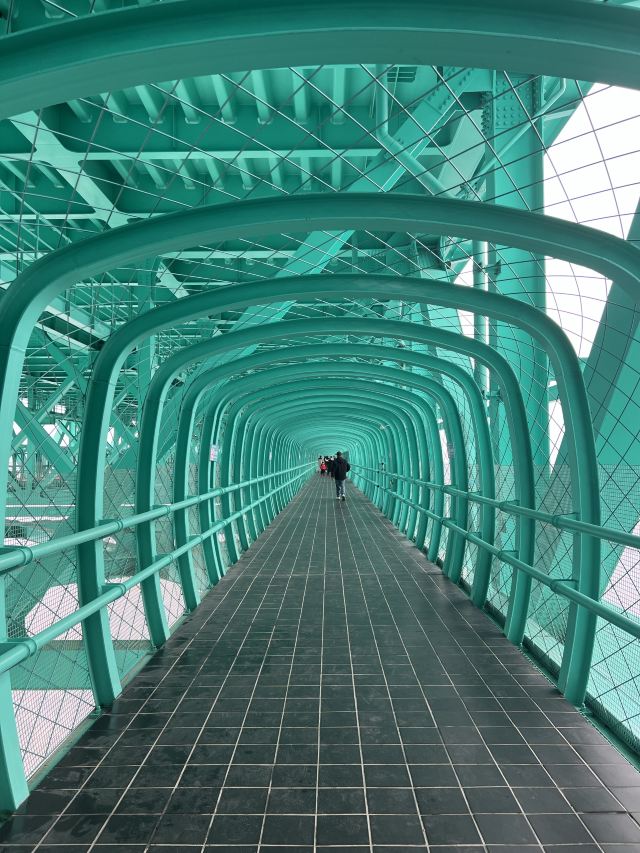 贵州花江峡谷大桥旅游区旅行图片 5