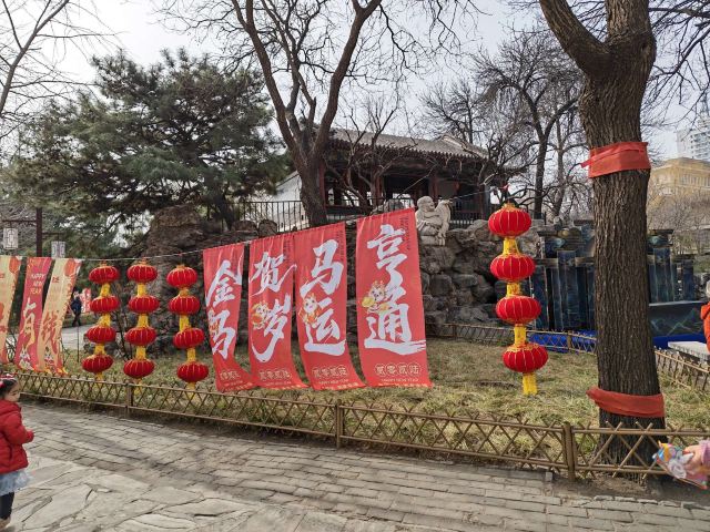 大观园旅行图片 4