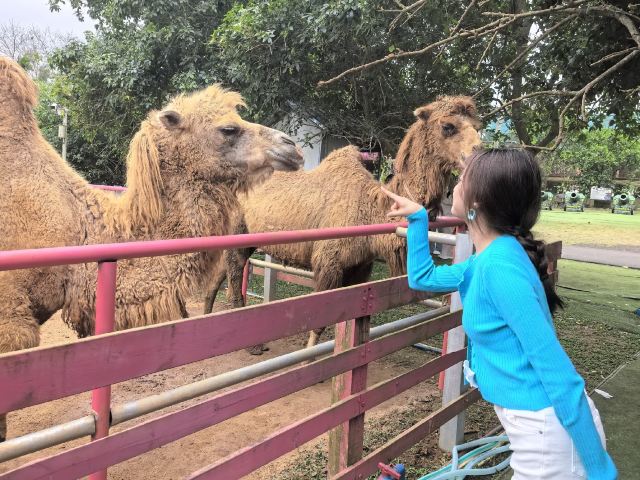 世界热带水果之窗(海南盛大共享农庄)旅行图片 6