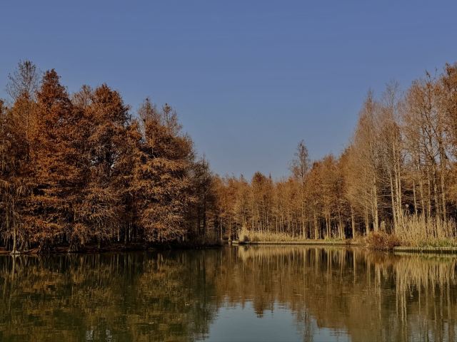 尚湖风景区旅行图片 1