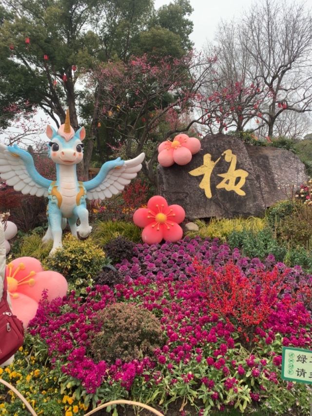荣氏梅园旅行图片 2