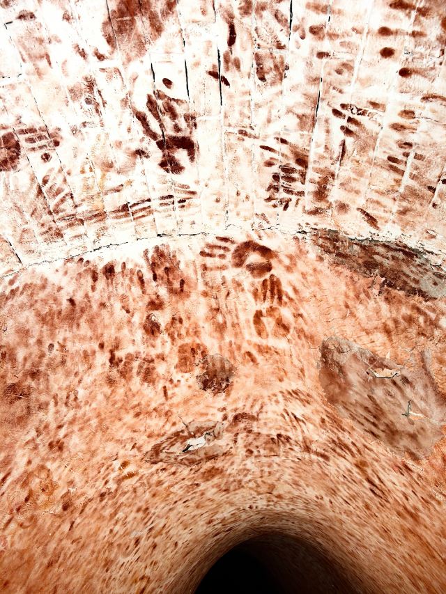 小西天旅行图片 2