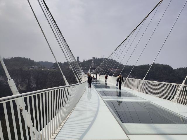 张家界大峡谷旅行图片 6