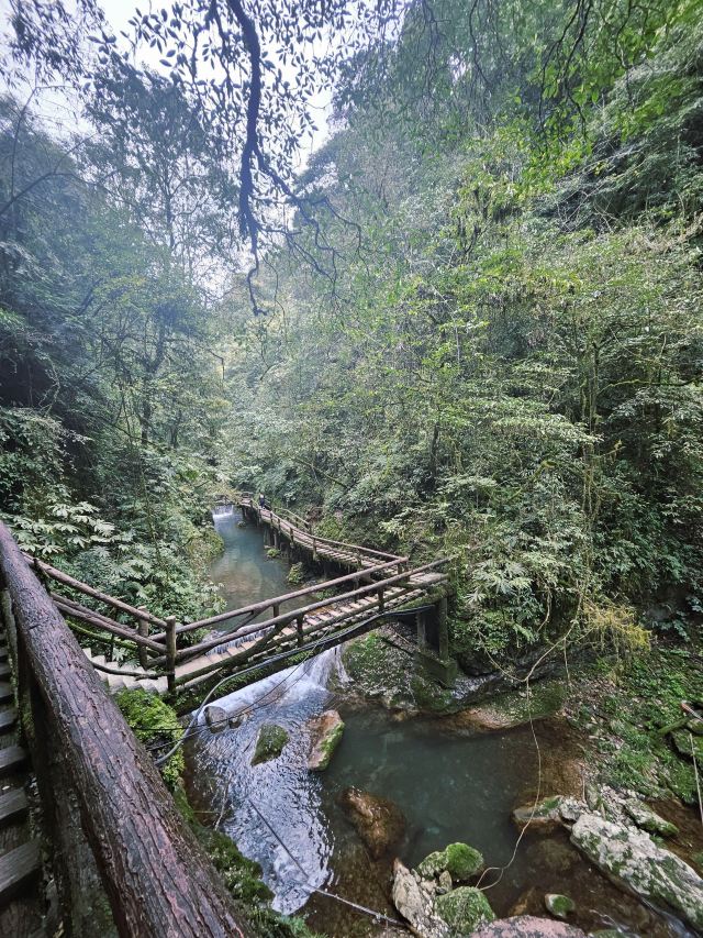 青城山景区旅行图片 5