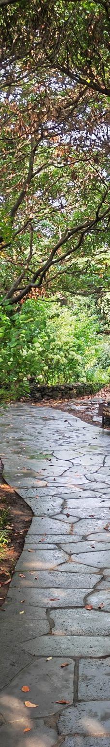 山茶花之丘-西归浦市-田佳