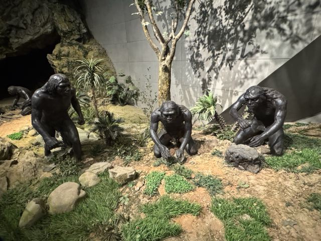 周口店遗址博物馆旅行图片 5