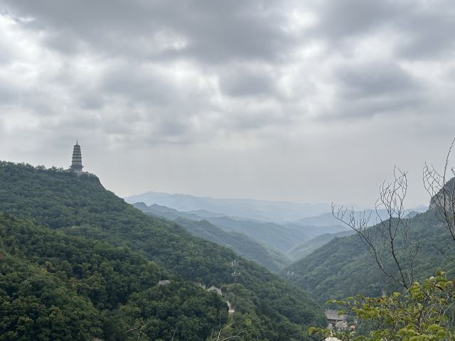 仙堂山萌宠园旅行图片 5