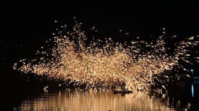 椰子大观园旅行图片 3