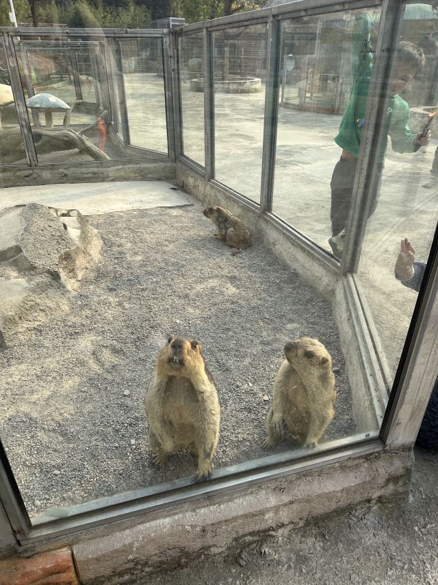 杉木湖景区旅行图片 6