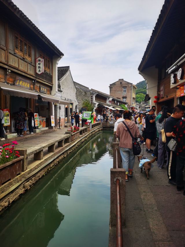 大纵湖旅游度假区旅行图片 3