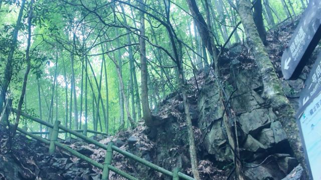 藏龙百瀑旅行图片 2