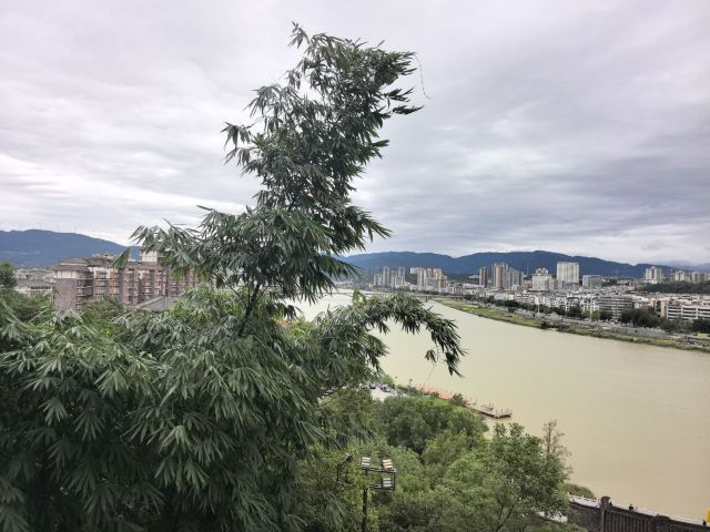 皇泽寺景区旅行图片 5
