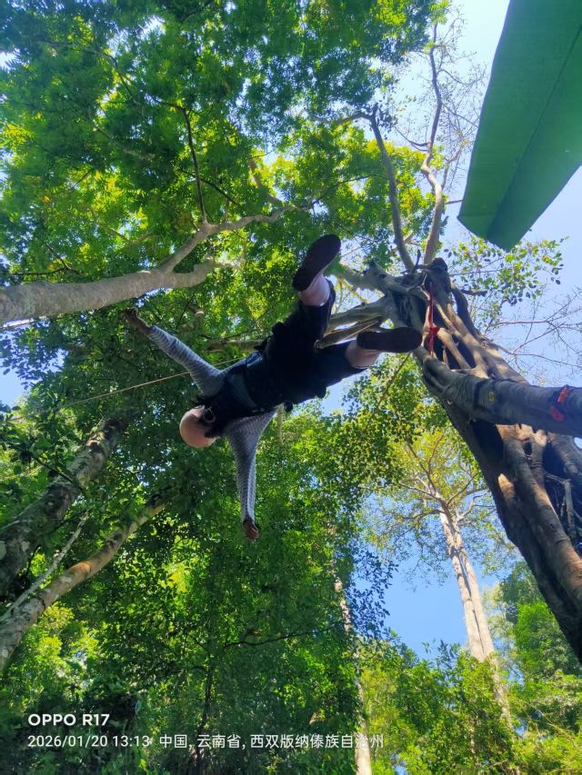 基诺山巴朵村雨林徒步旅行图片 4