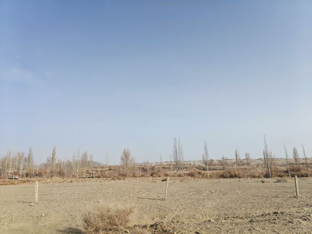 阳关关城旅行图片 2