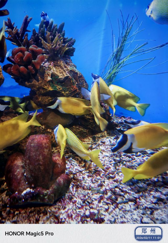 郑州海昌海洋公园旅行图片 5