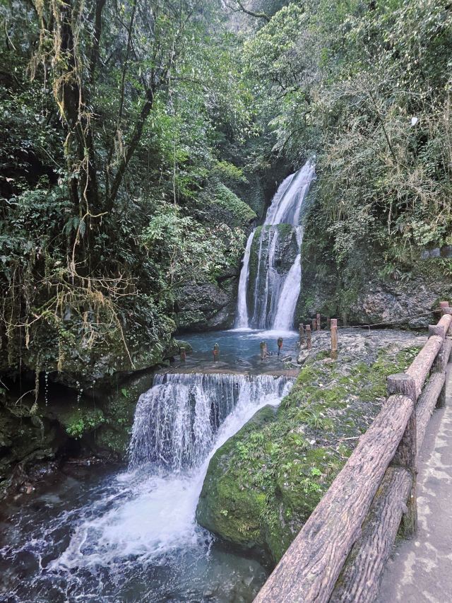 青城山景区旅行图片 2
