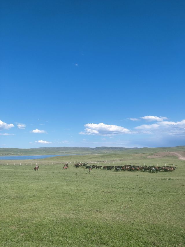 山丹皇家马场景区(暂停开放)旅行图片 2