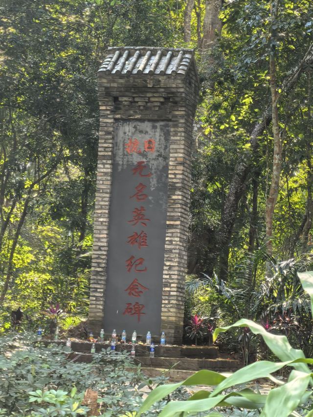 西双版纳独树成林景区旅行图片 6