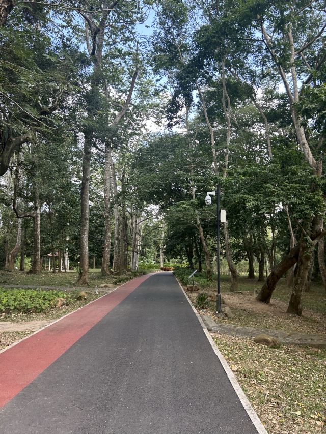 海南热带植物园旅行图片 2