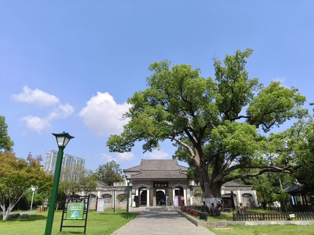 东洲岛旅行图片 1