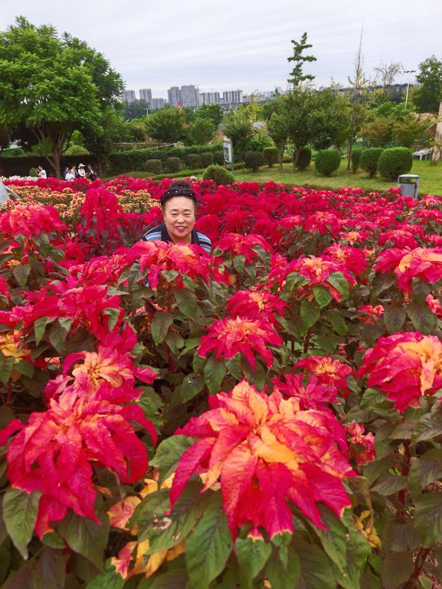 音乐·百花谷旅行图片 1