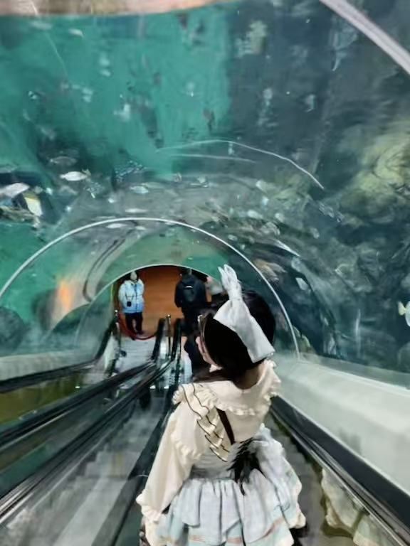 上海海洋水族馆旅行图片 1