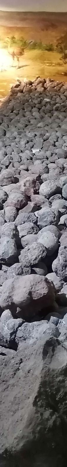 河源恐龙博物馆-河源-无言独上高楼