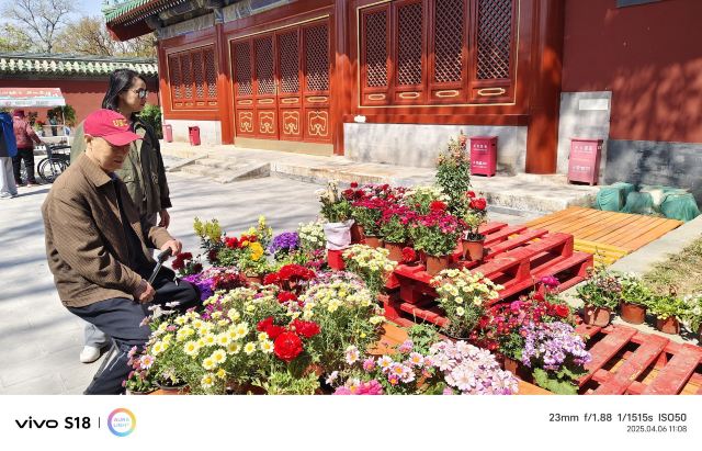 日坛公园旅行图片 2