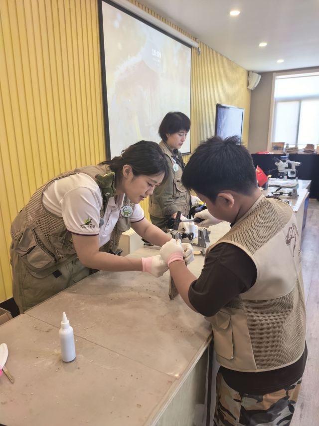 朝阳化石谷旅行图片 2