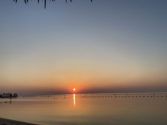 皂河龙运城旅行图片 2