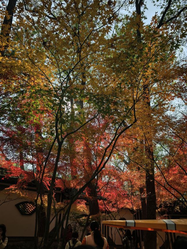 栖霞山风景名胜区旅行图片 3