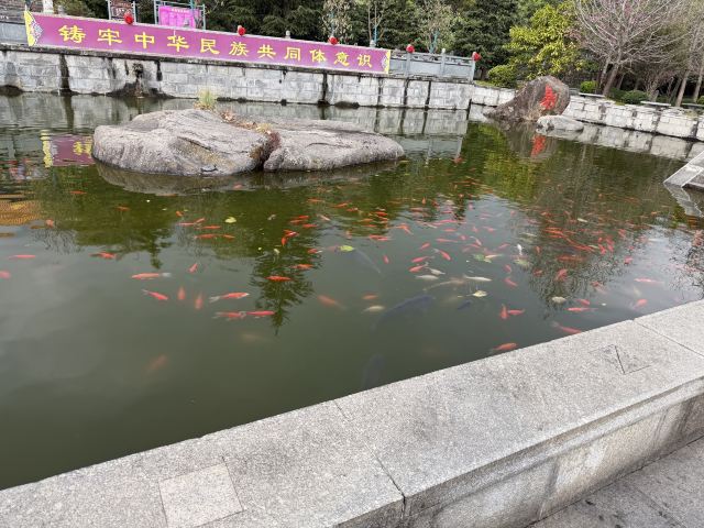 崇圣寺三塔文化旅游区旅行图片 8