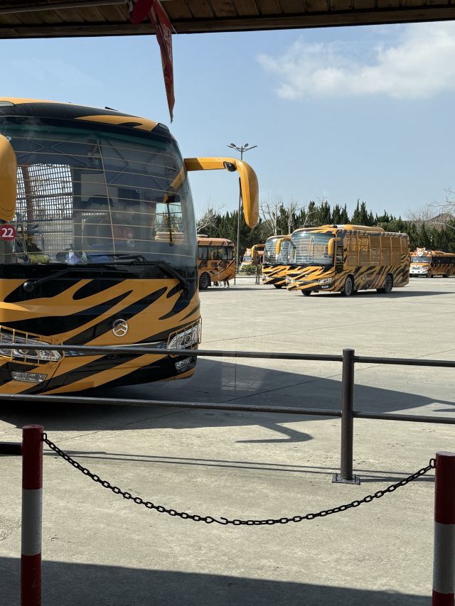 上海野生动物园旅行图片 2