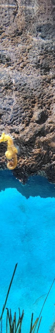 墨尔本水族馆-墨尔本-YoYo_3V4C1S3E