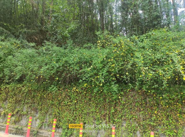 贵阳药用植物园旅行图片 9