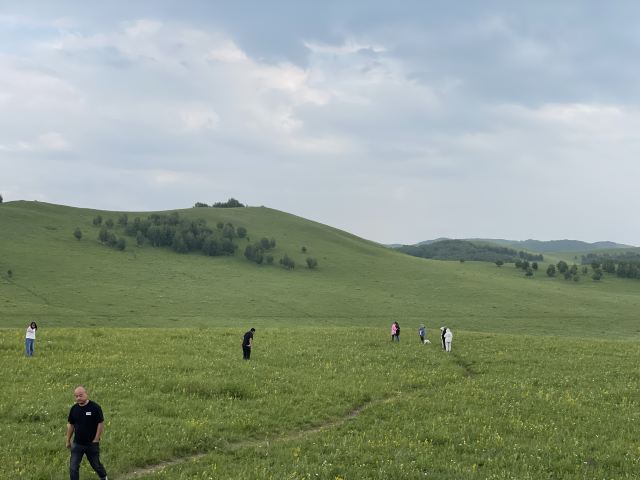 克什克腾旗草原旅行图片 3