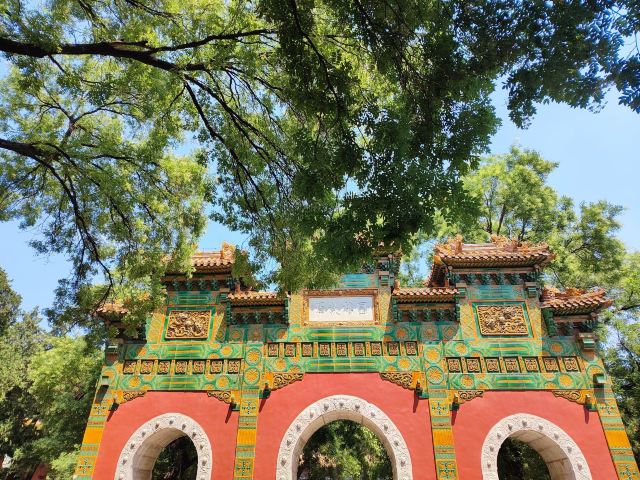国子监旅行图片 5