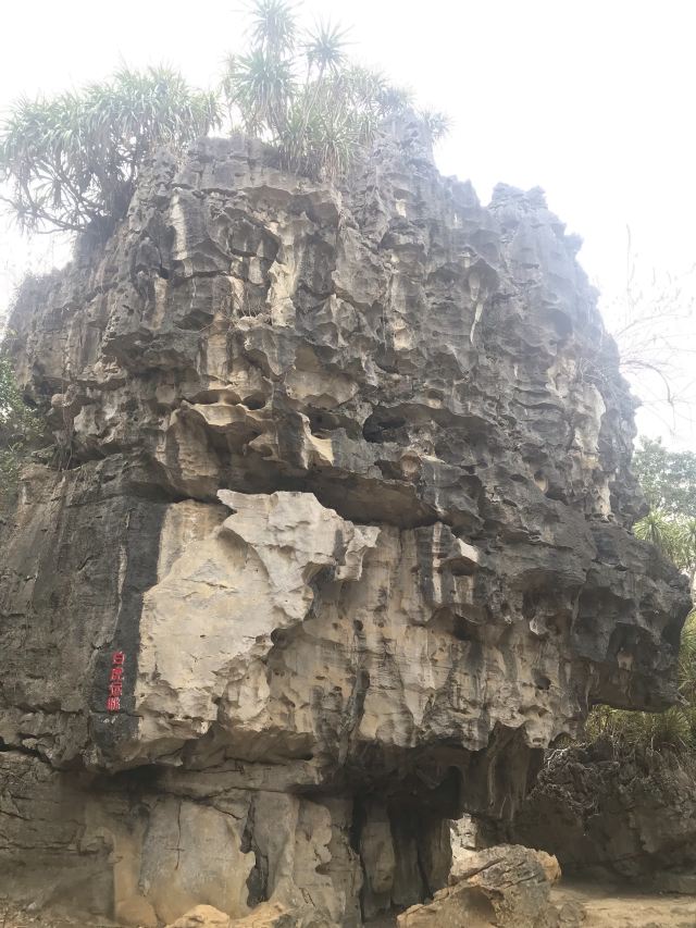 石景林景区旅行图片 2