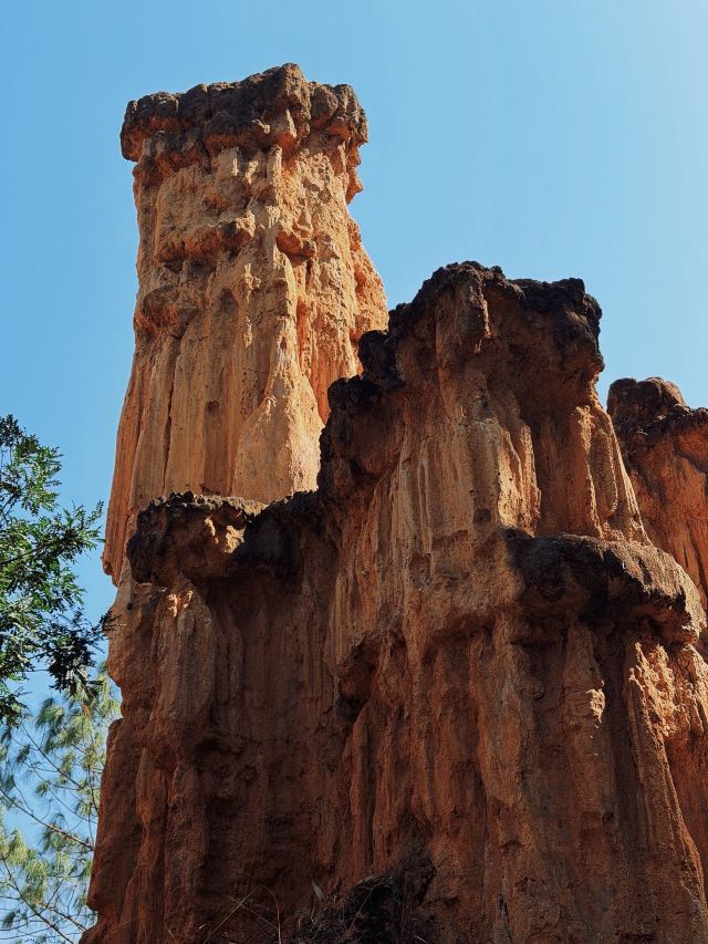 土林旅行图片 6