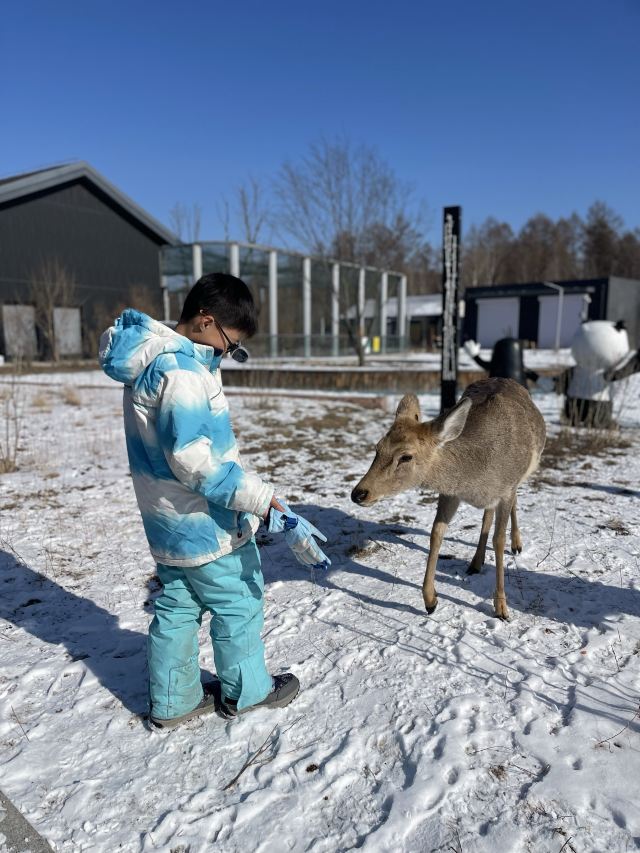 牡丹江珍稀动物园旅行图片 3