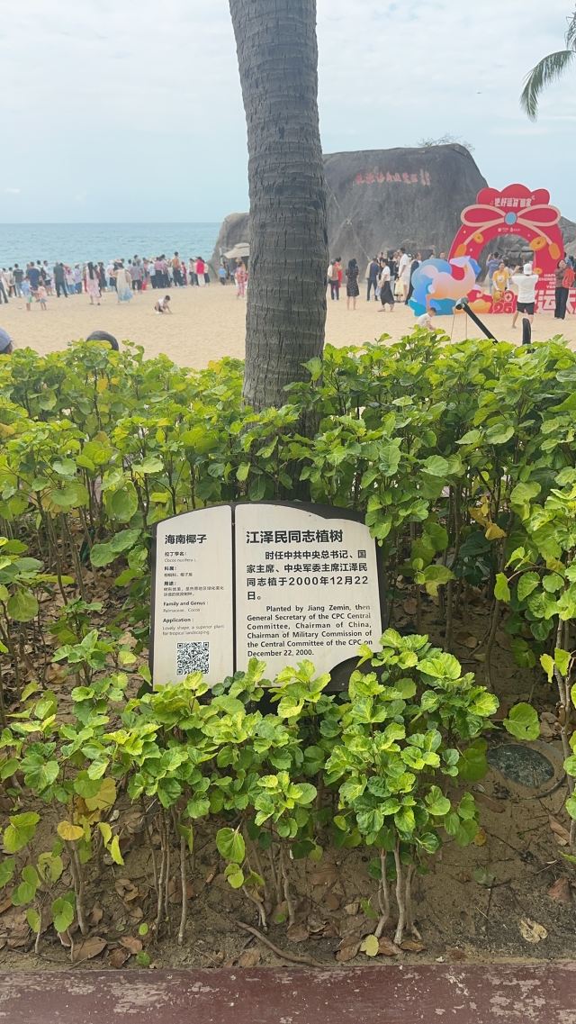 天涯海角游览区旅行图片 4