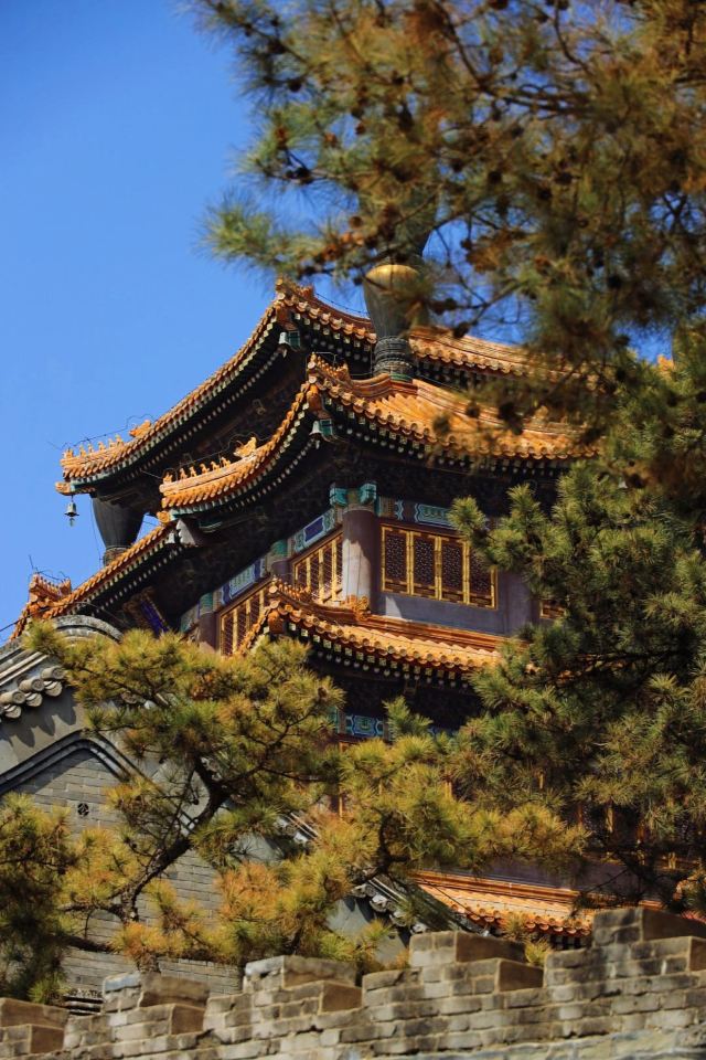 承德普宁寺游玩攻略简介,承德普宁寺门票/地址/图片/开放时间/照片/门票价格【携程攻略】