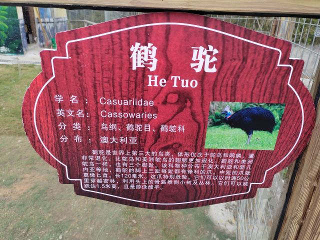 杉木湖景区旅行图片 2