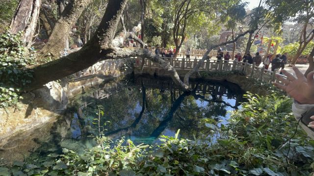 蝴蝶泉旅行图片 1