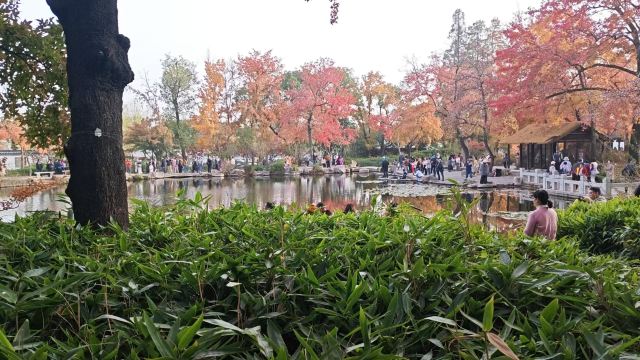 天平山风景名胜区旅行图片 2