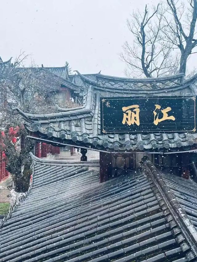 丽江古城旅行图片 3