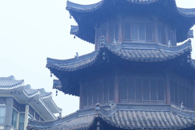 个园旅行图片 6