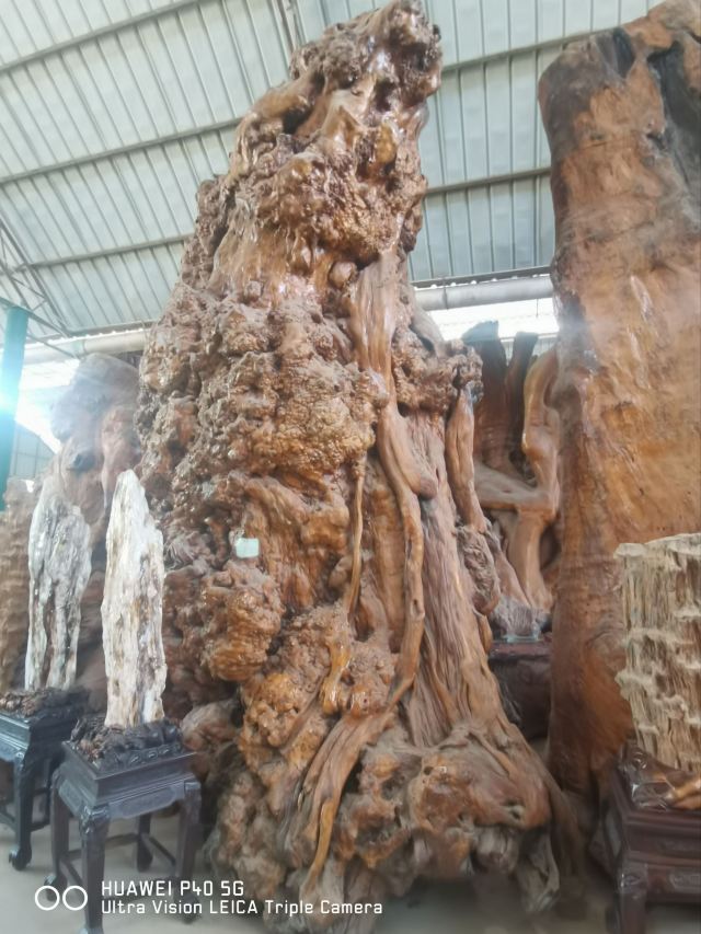 勐巴娜西珍奇园旅行图片 8