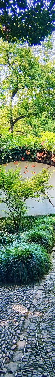 绮园景区-海盐-紫荷の清韵シ